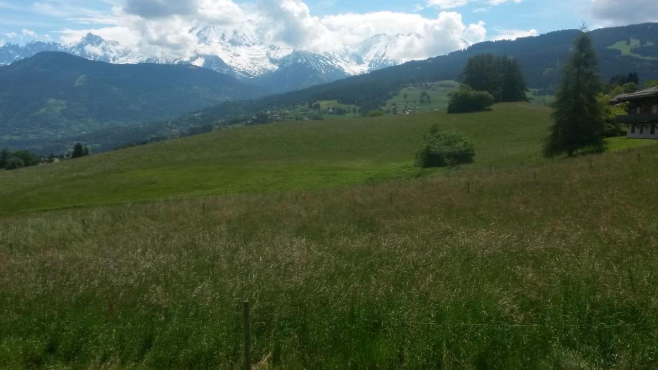 Rez de chaussée très calme vue Mont-Blanc Combloux Chambre photo